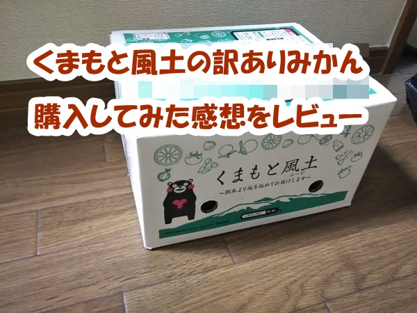 くまもと風土熊本小玉完熟みかん訳ありレビュー!口コミ評判通り?楽天で通販した感想!